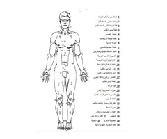 تونس بن عروس نابل الحمامات سوسة صفاقس